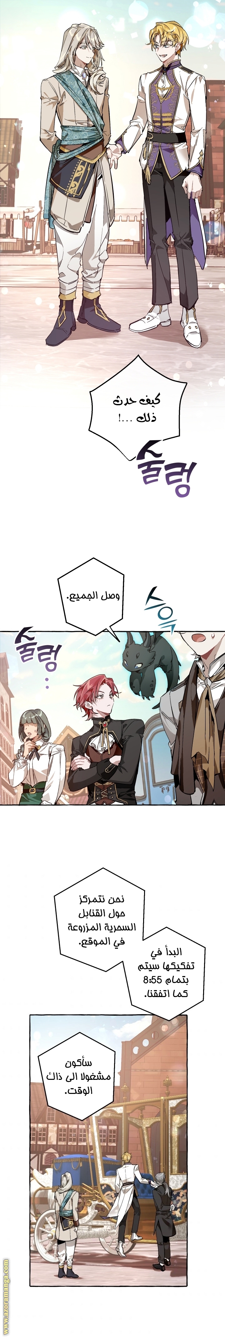 الصفحة 17