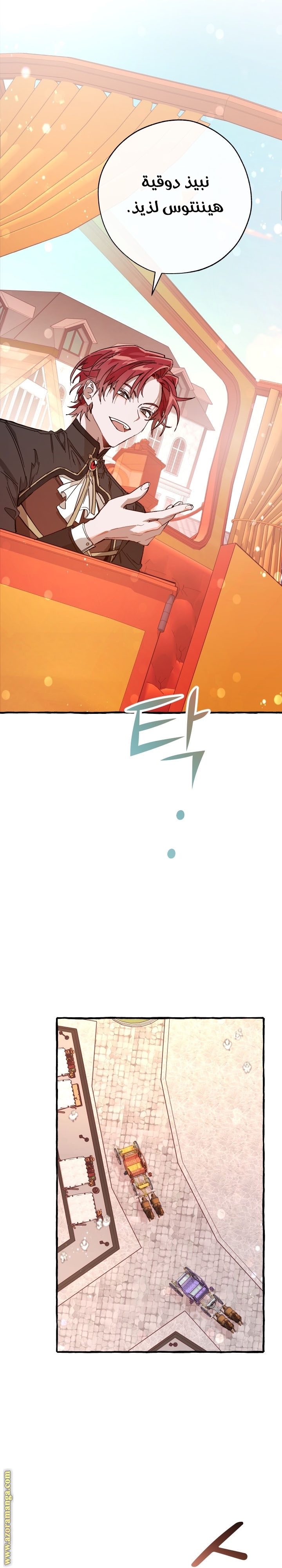الصفحة 17