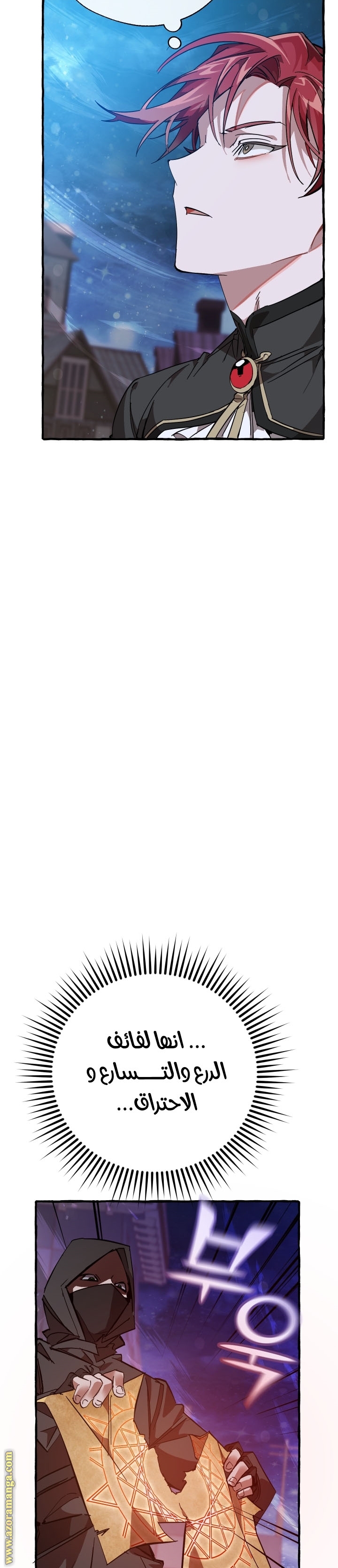 الصفحة 21