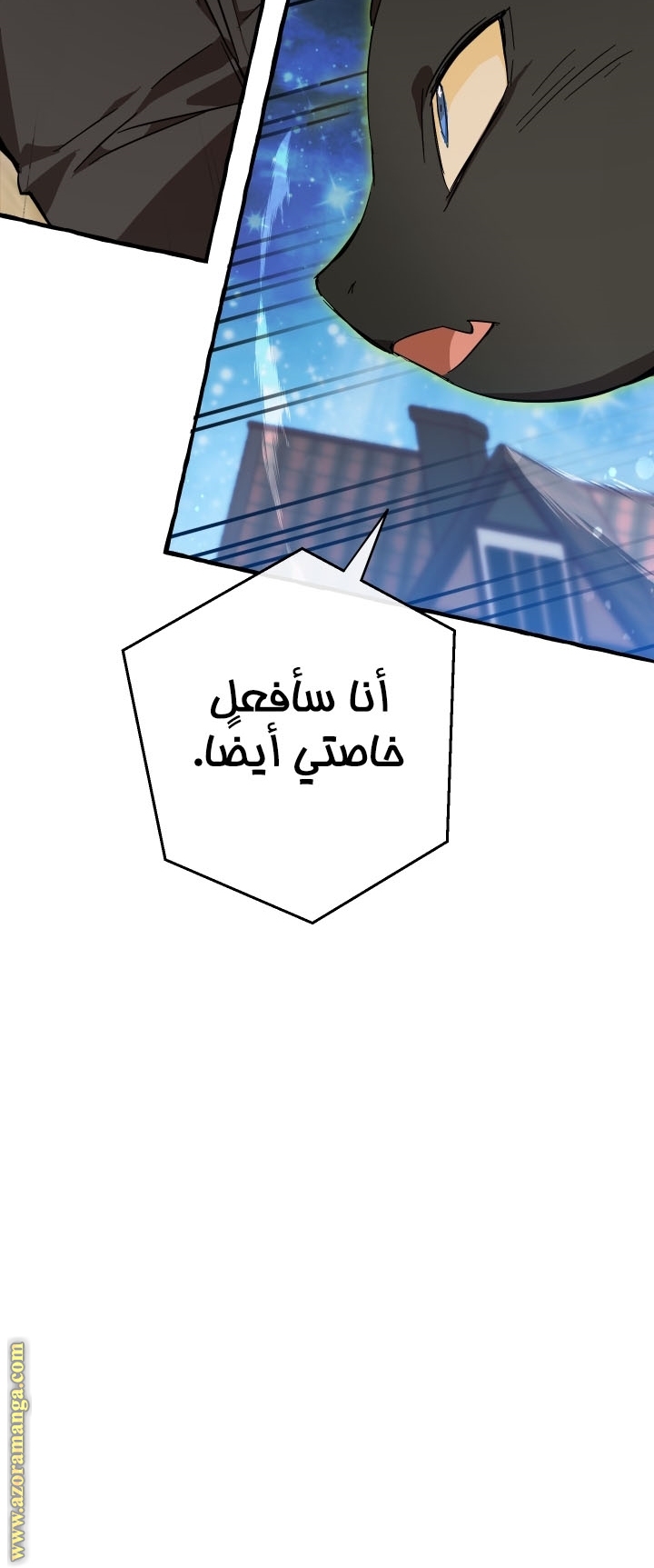 الصفحة 38