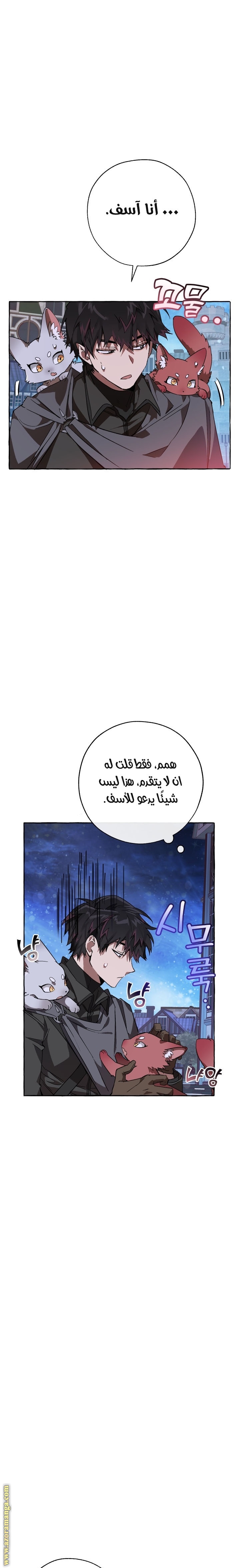 الصفحة 17