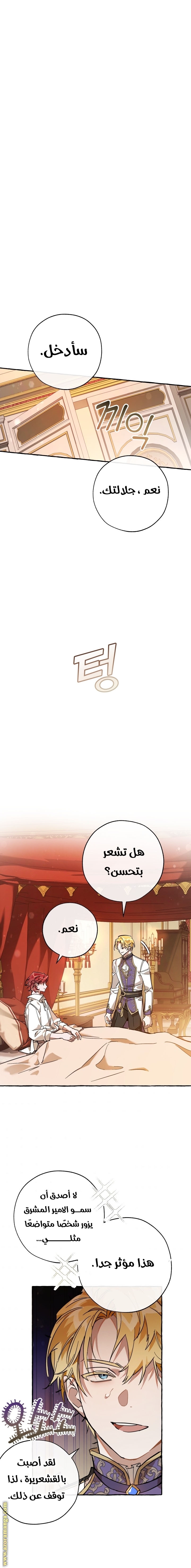 الصفحة 13