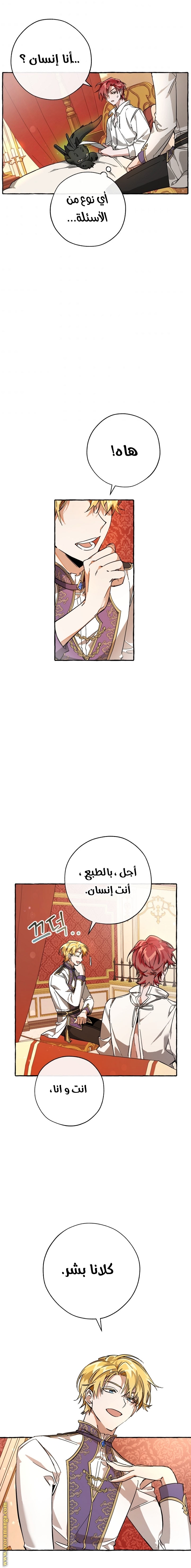 الصفحة 17