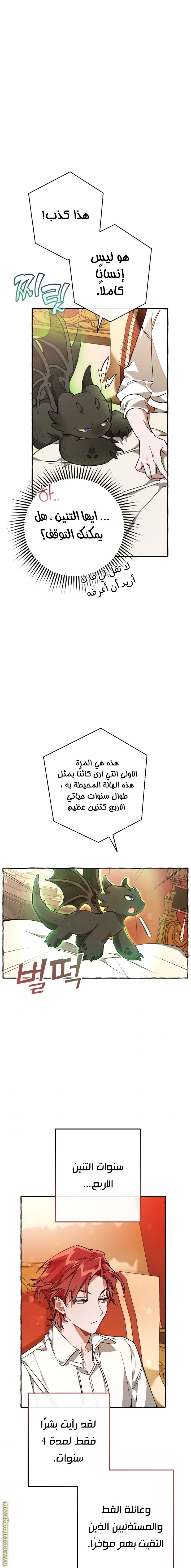 الصفحة 18