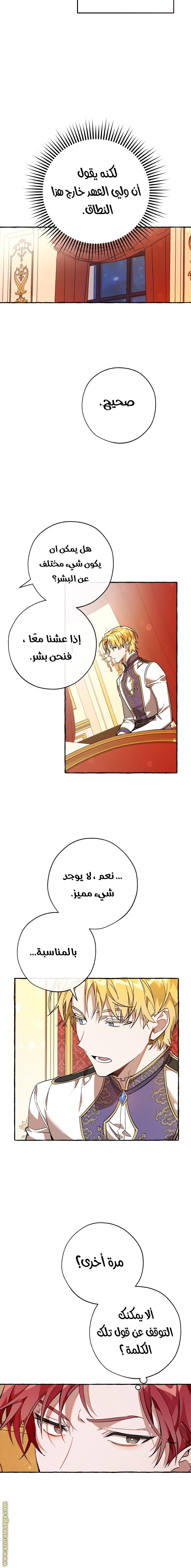 الصفحة 19