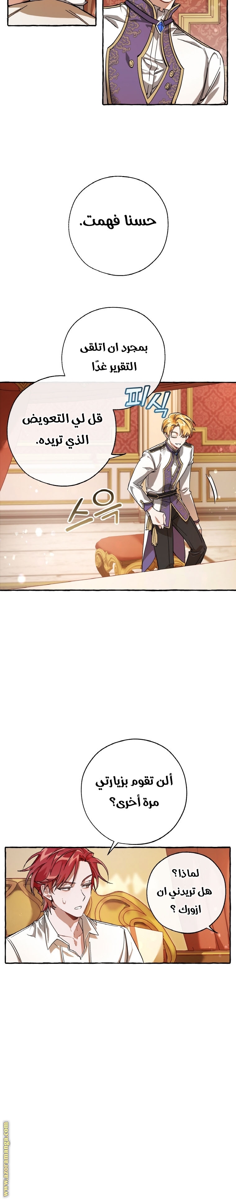 الصفحة 17