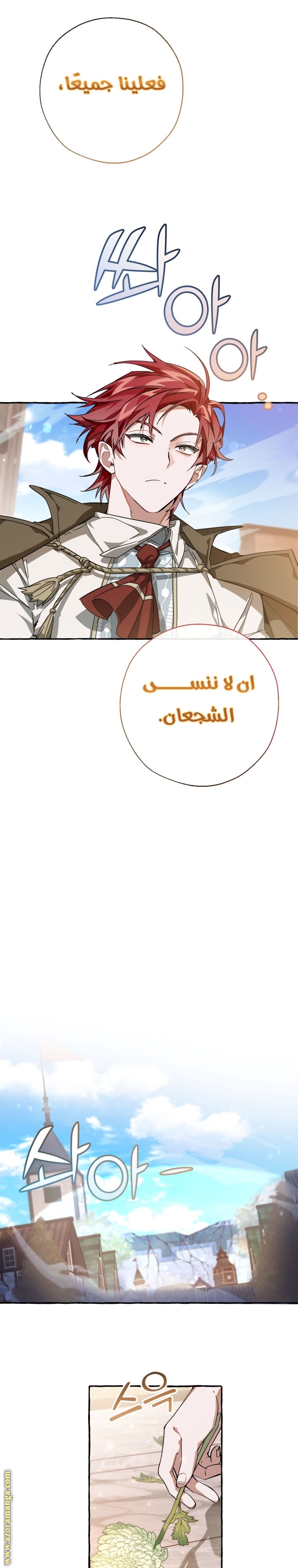 الصفحة 17
