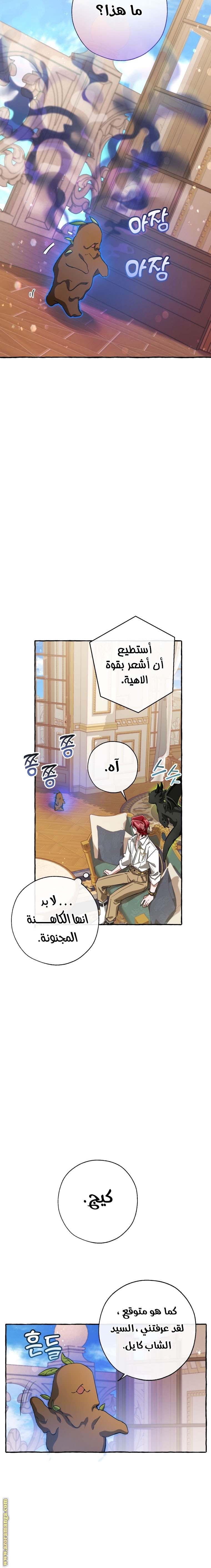 الصفحة 14