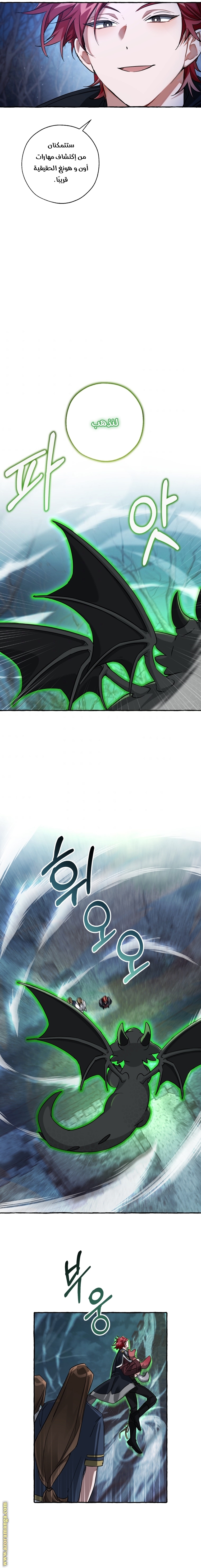 الصفحة 13