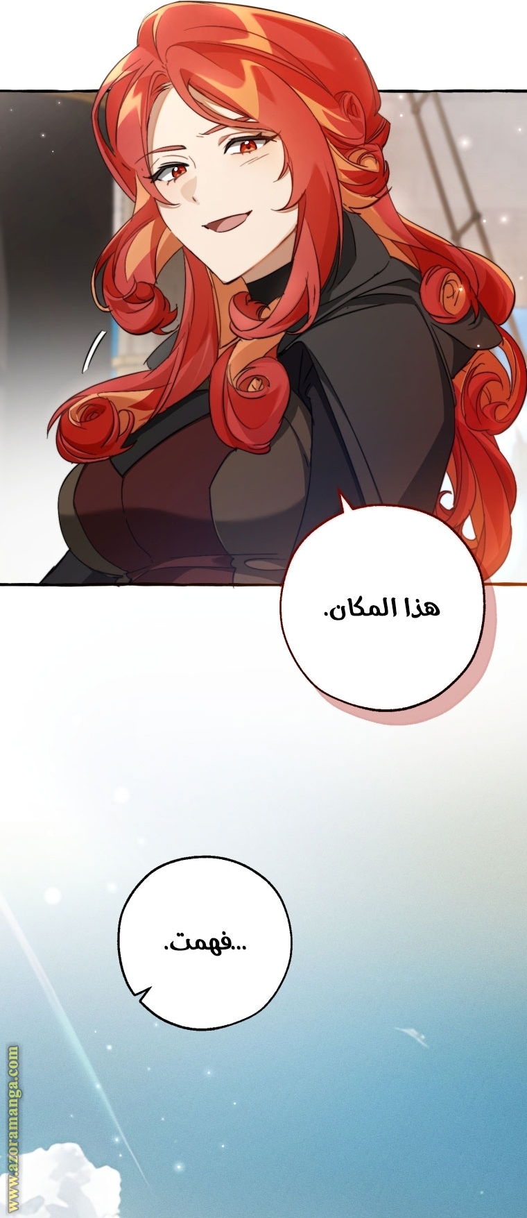 الصفحة 17