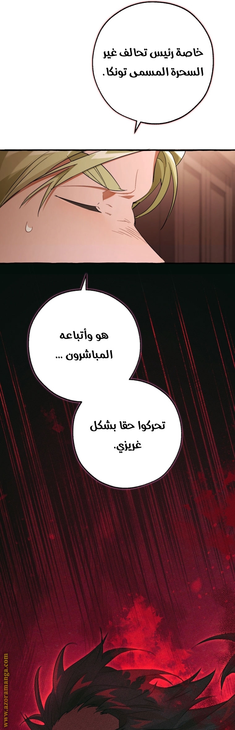 الصفحة 25