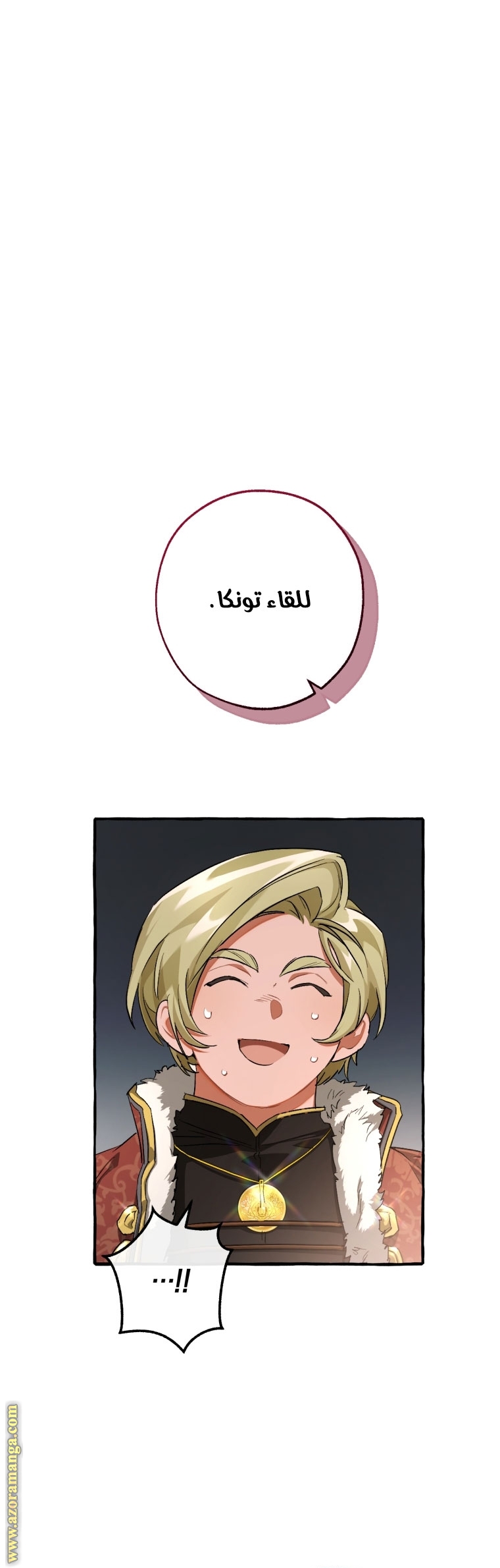 الصفحة 29