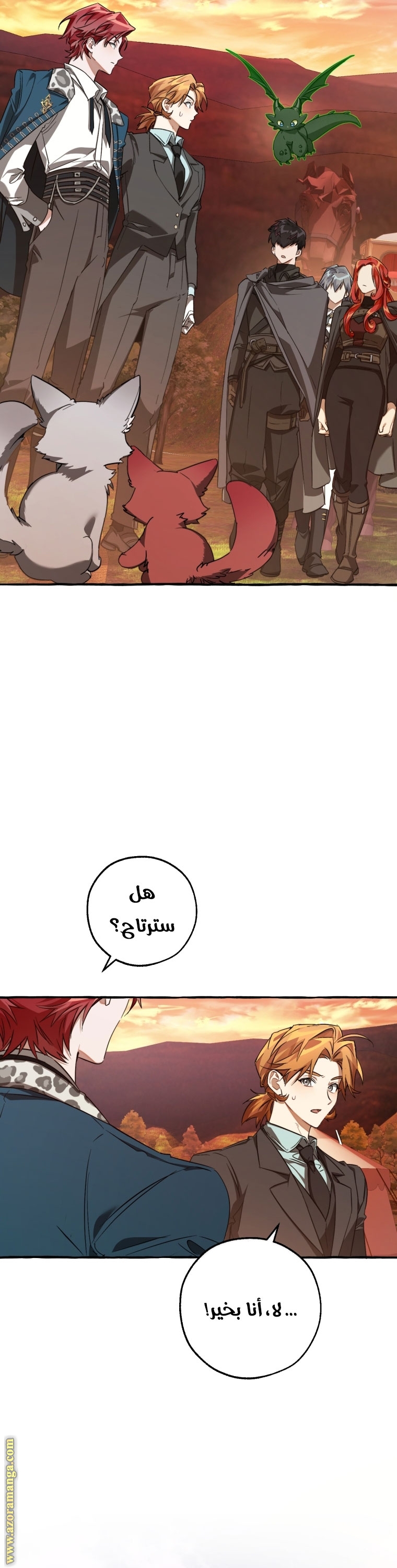 الصفحة 45