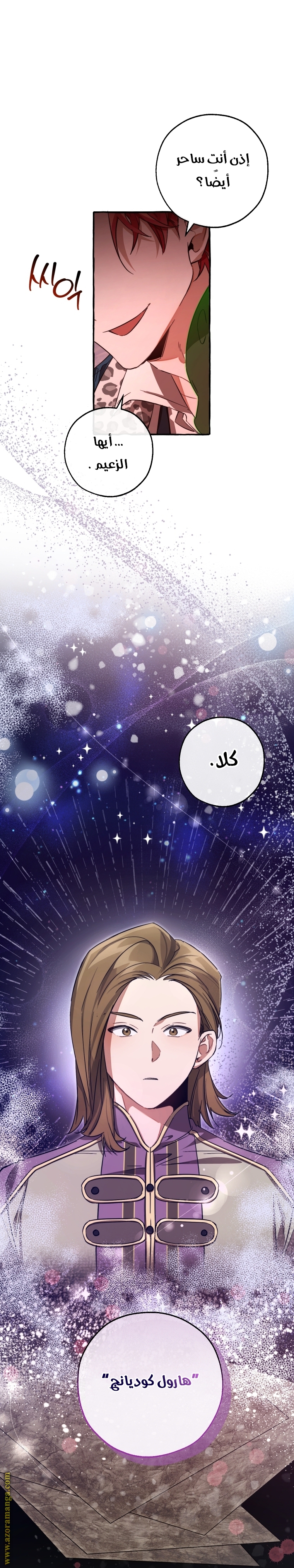 الصفحة 27