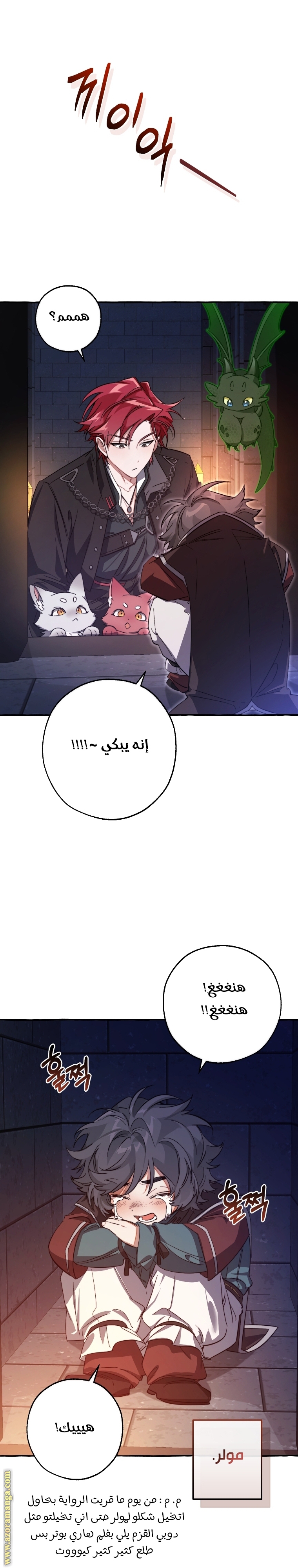 الصفحة 16
