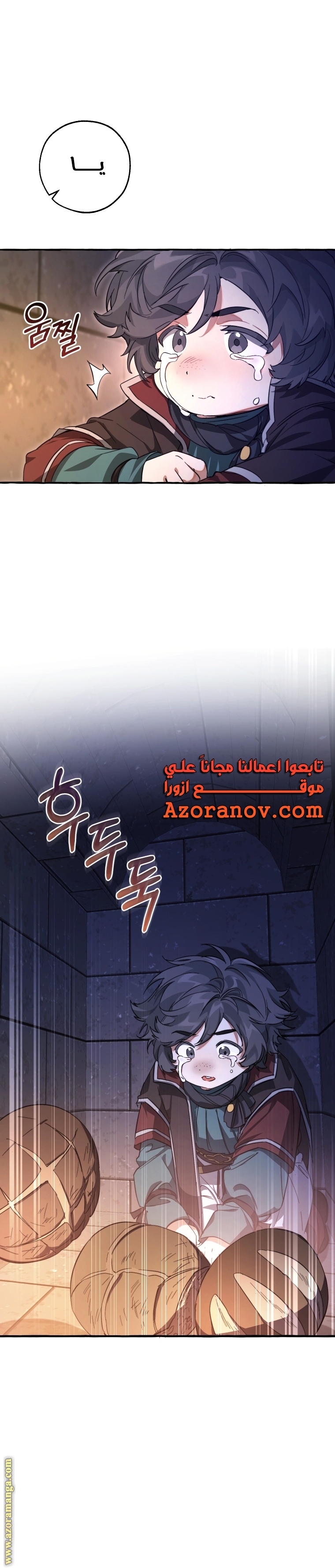 الصفحة 19