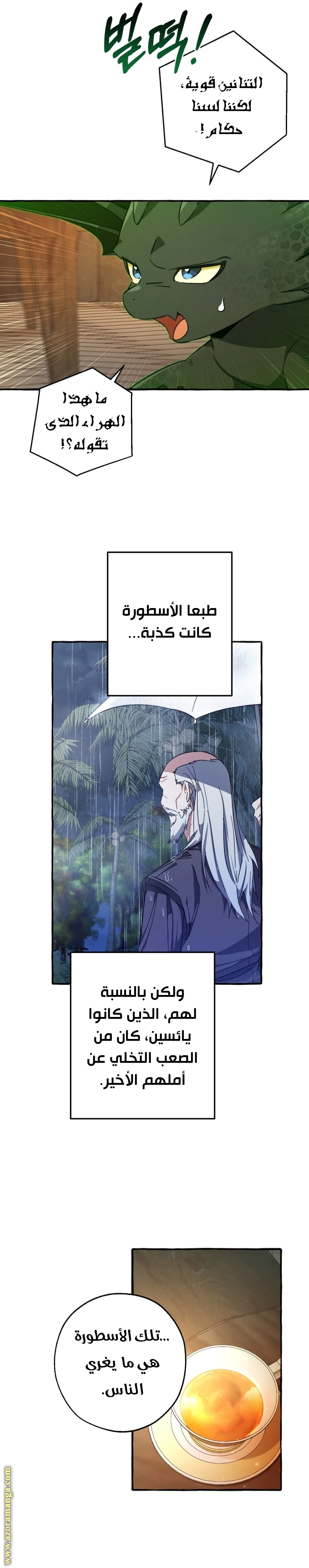 الصفحة 13
