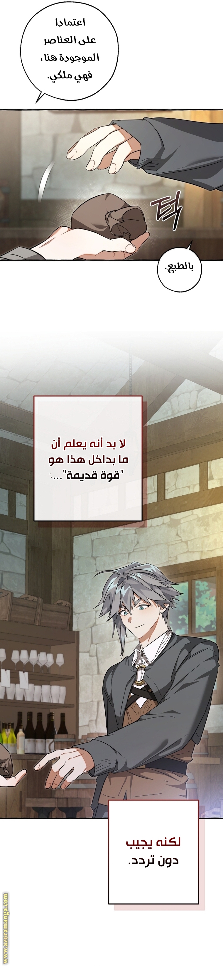 الصفحة 17