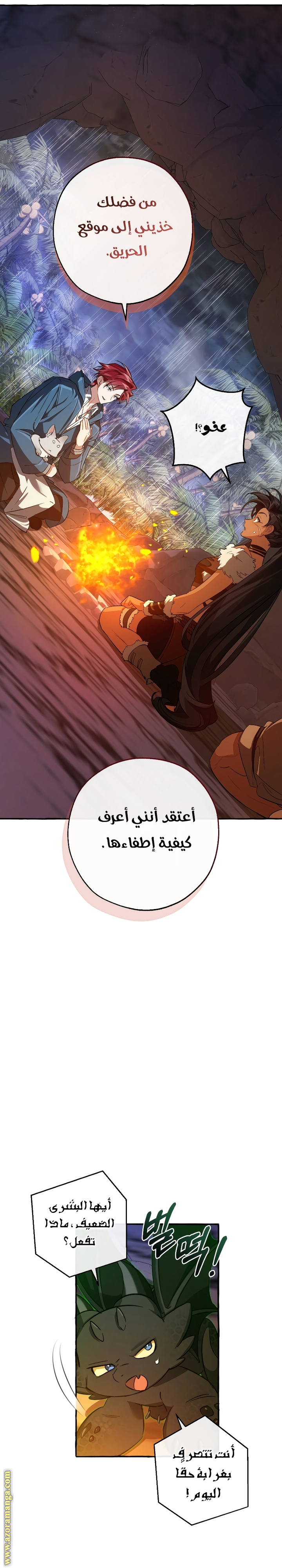 الصفحة 20