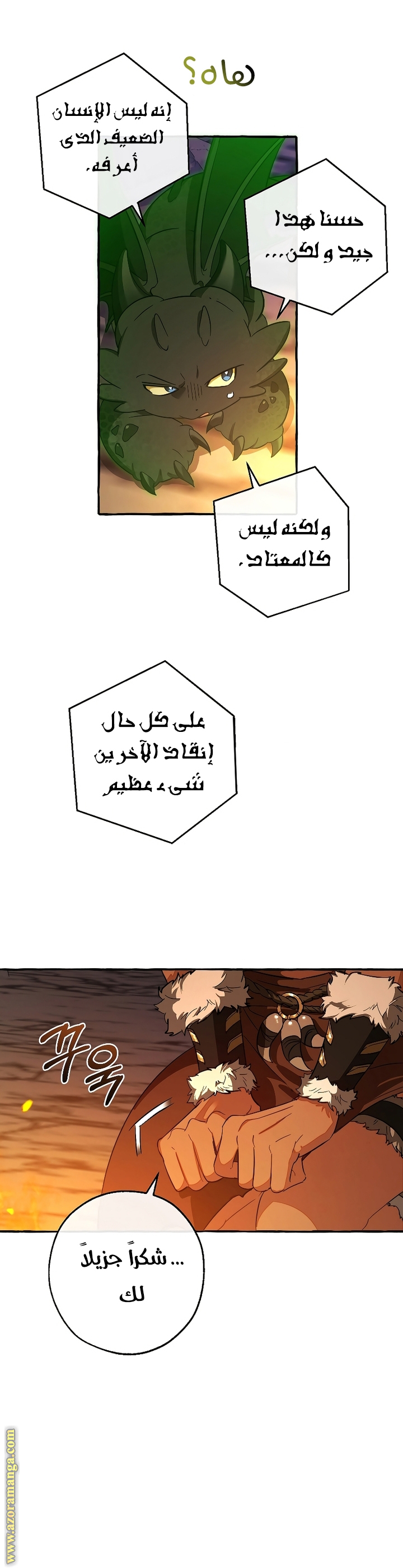 الصفحة 13