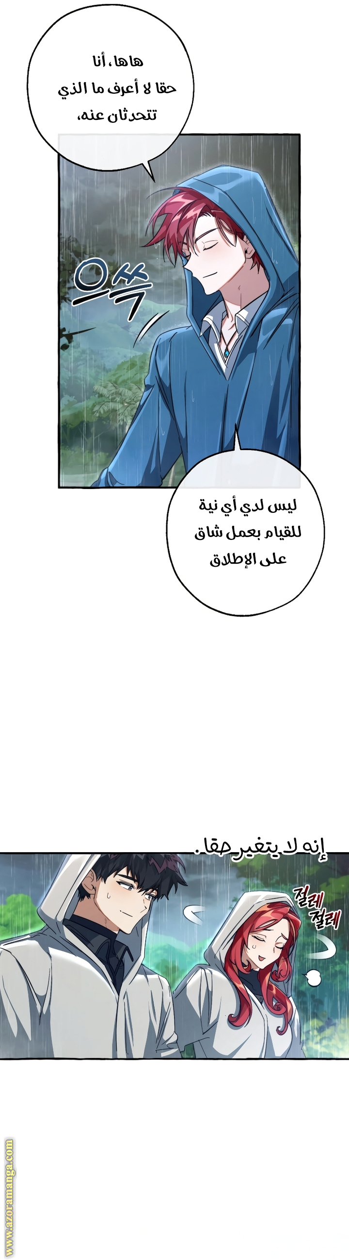 الصفحة 13