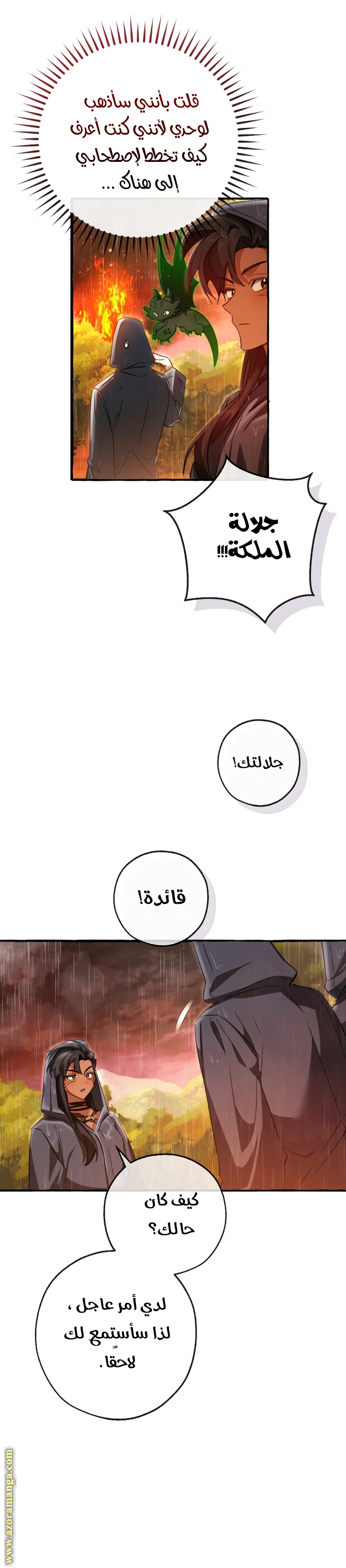 الصفحة 15