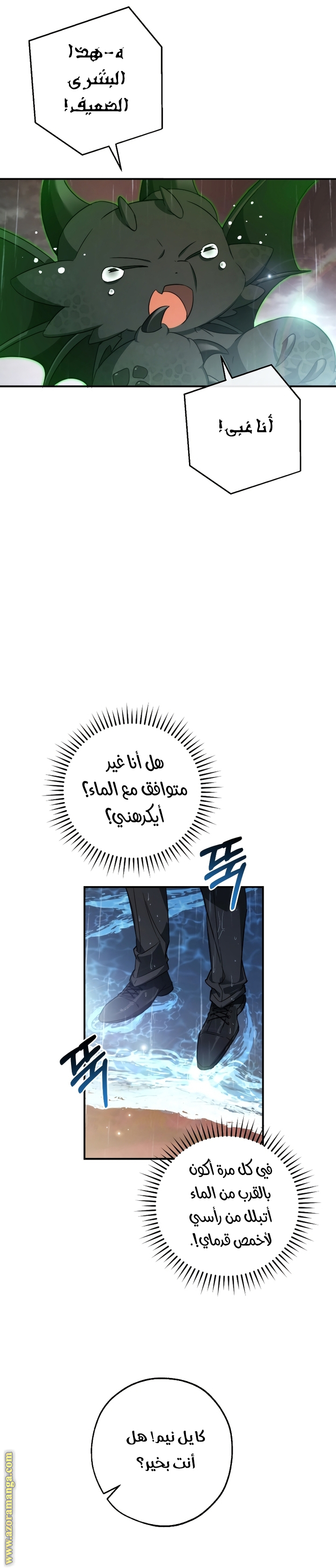الصفحة 19
