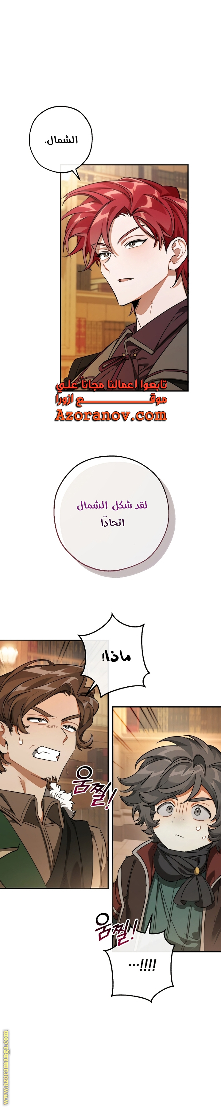 الصفحة 13