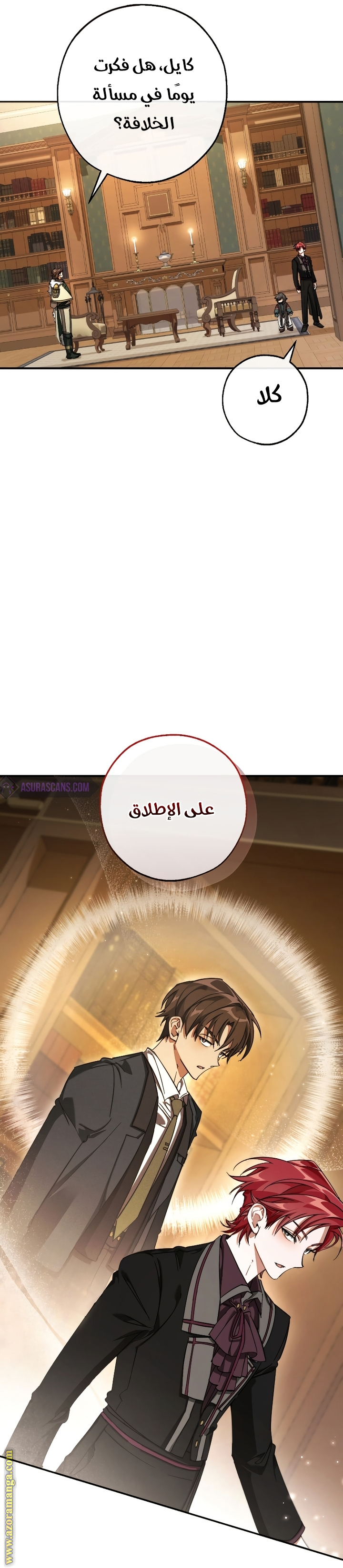 الصفحة 25