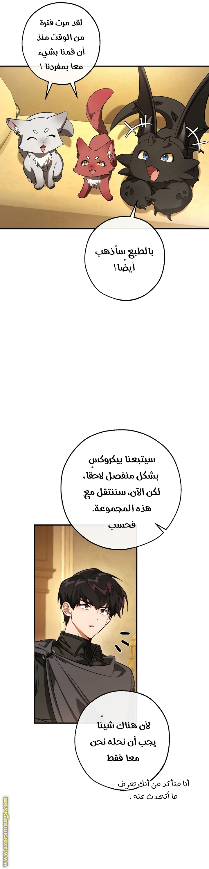 الصفحة 30