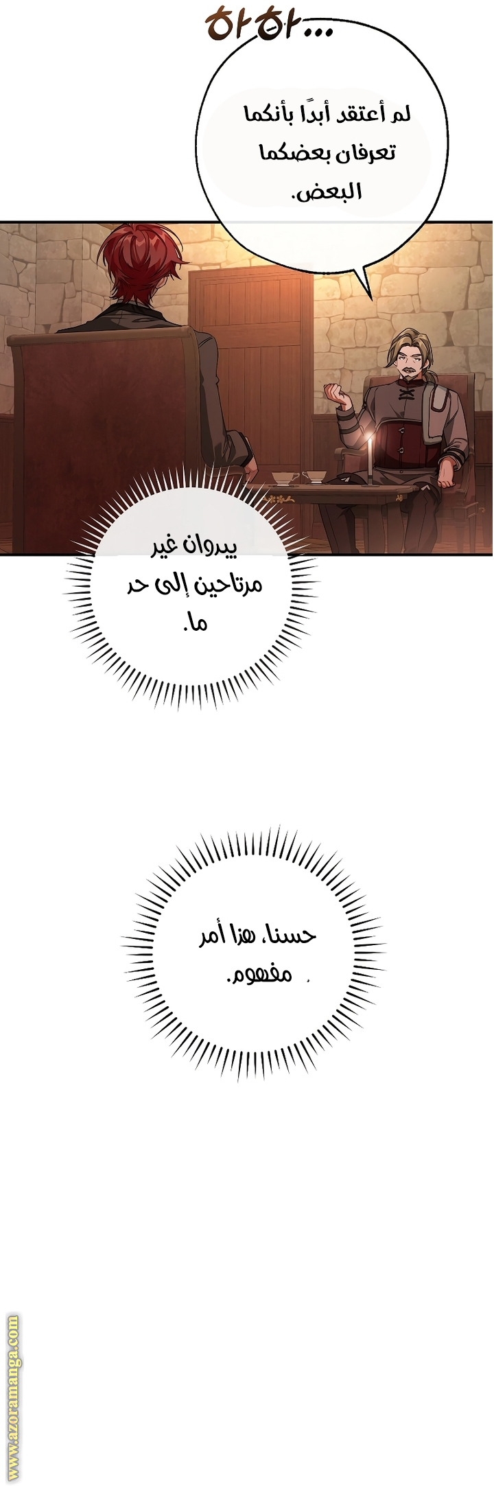الصفحة 13