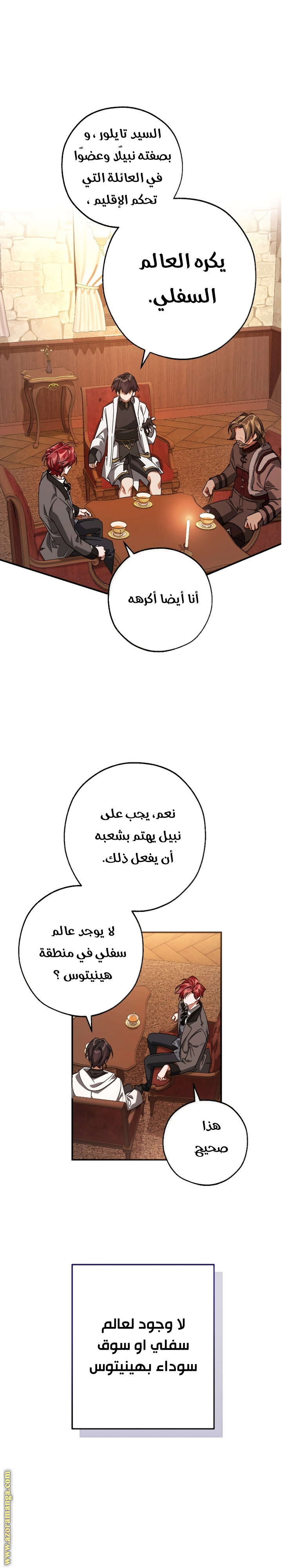 الصفحة 17