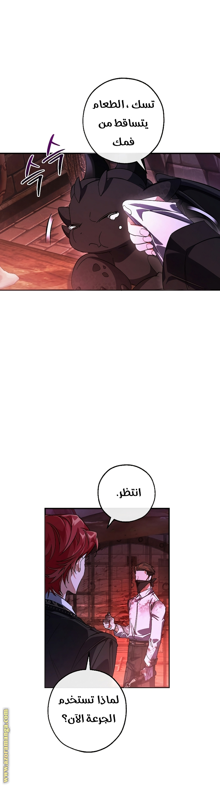 الصفحة 13