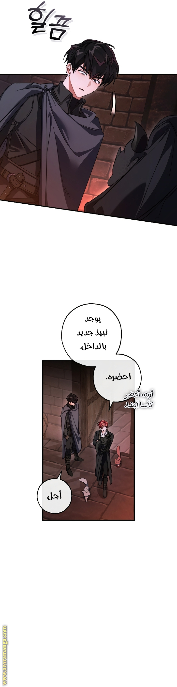 الصفحة 18
