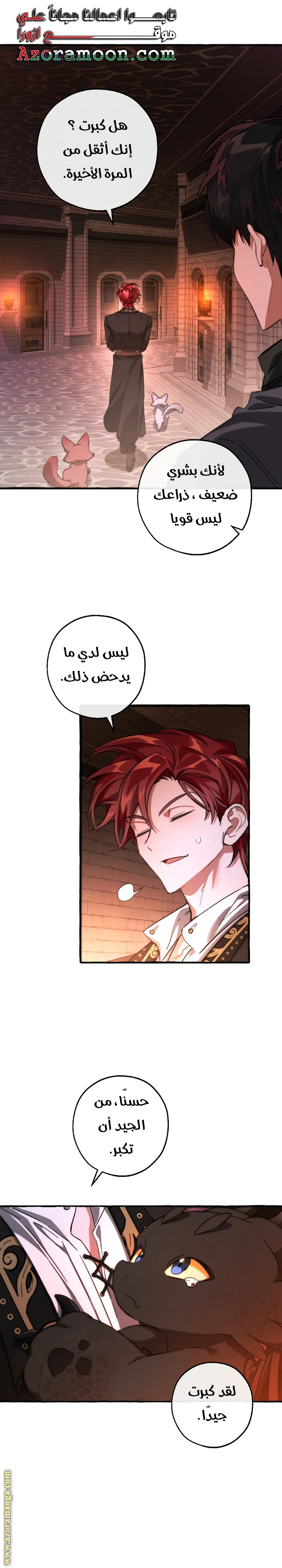 الصفحة 19