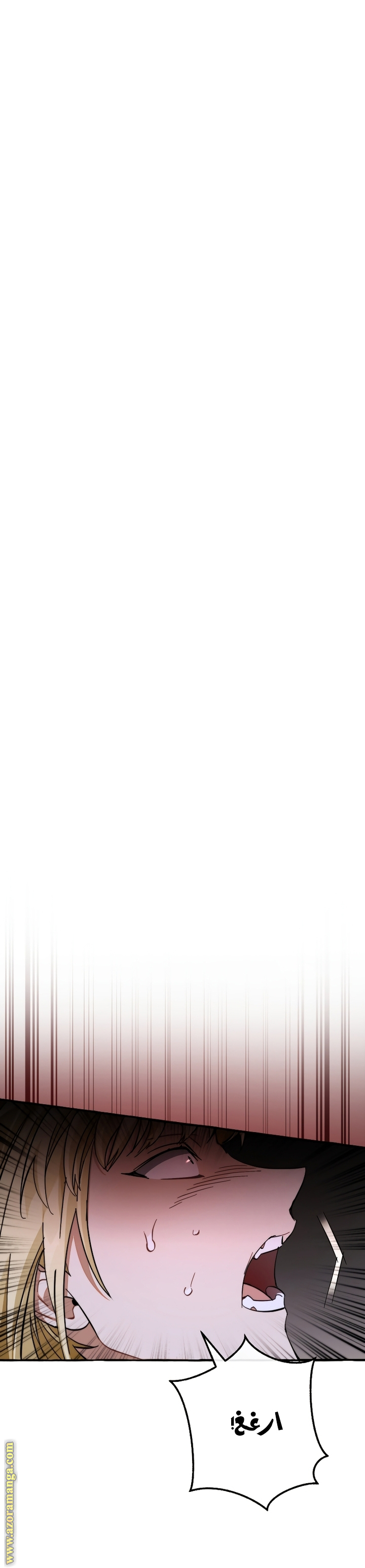 الصفحة 21