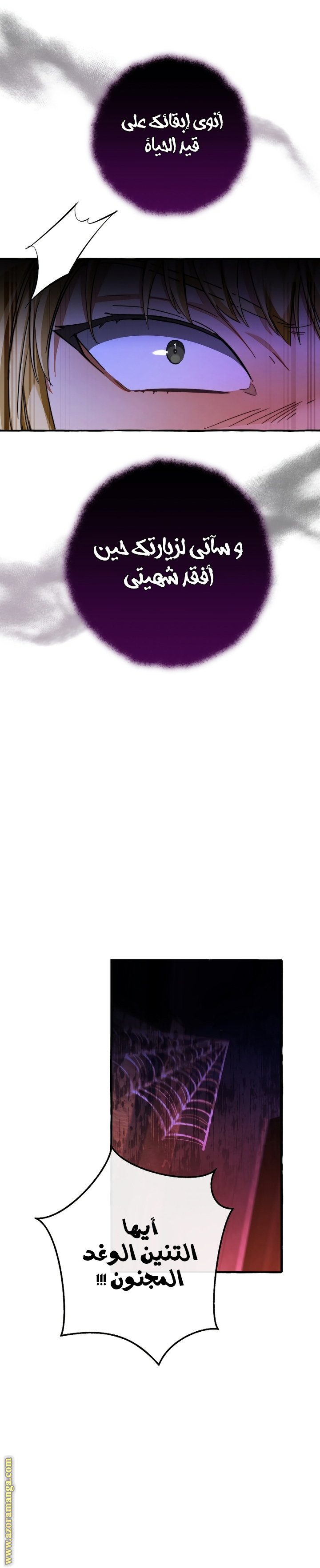 الصفحة 25