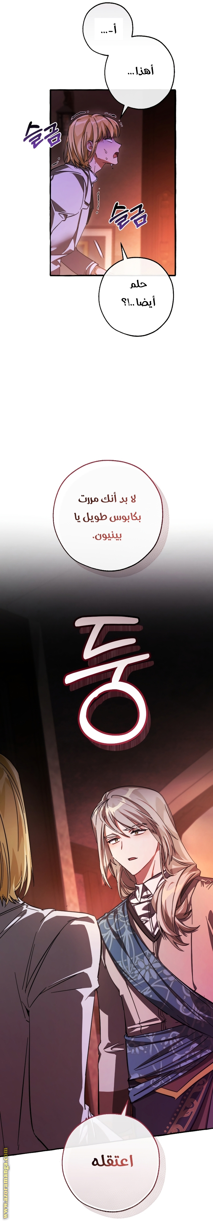 الصفحة 27