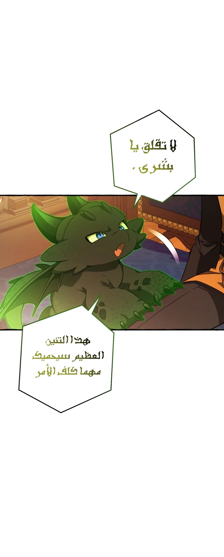 الصفحة 14