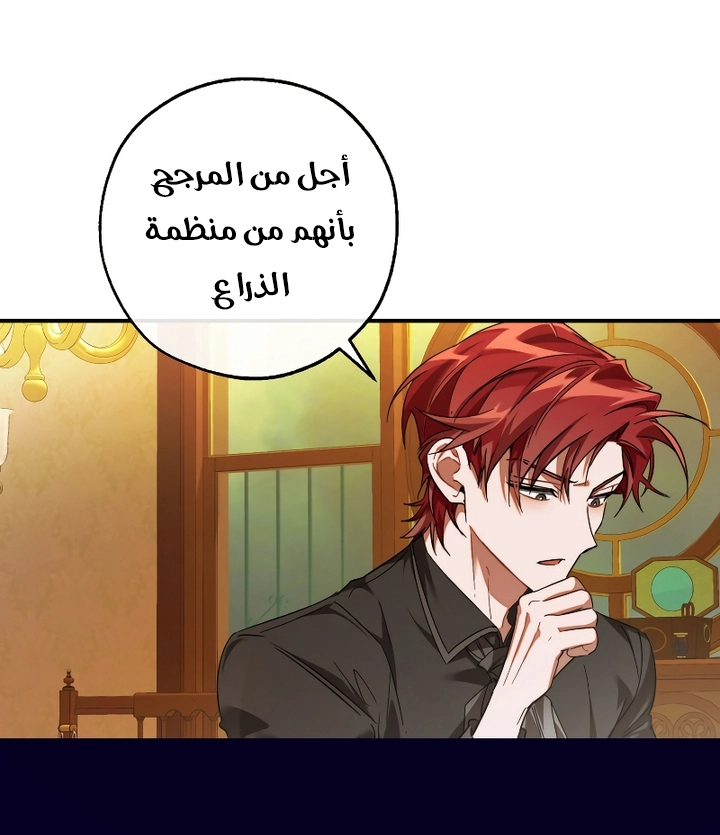 الصفحة 19