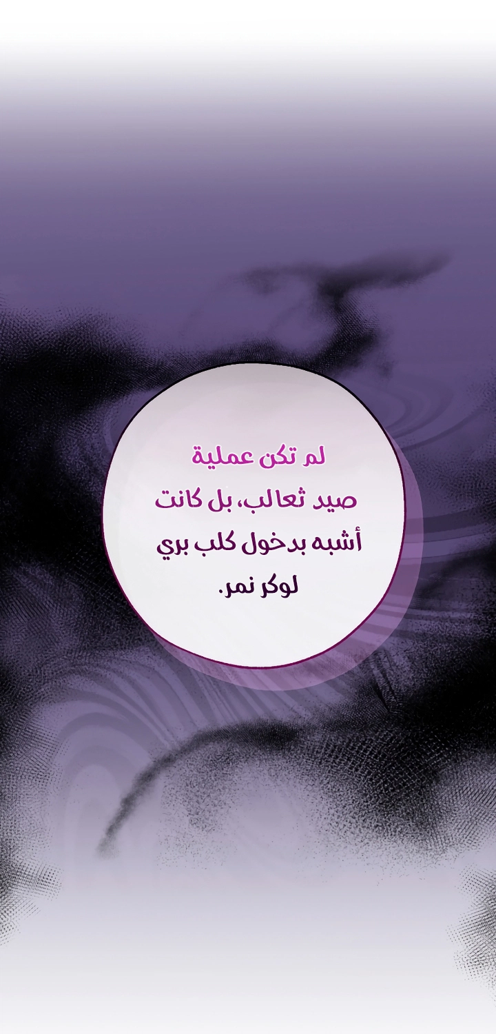 الصفحة 21