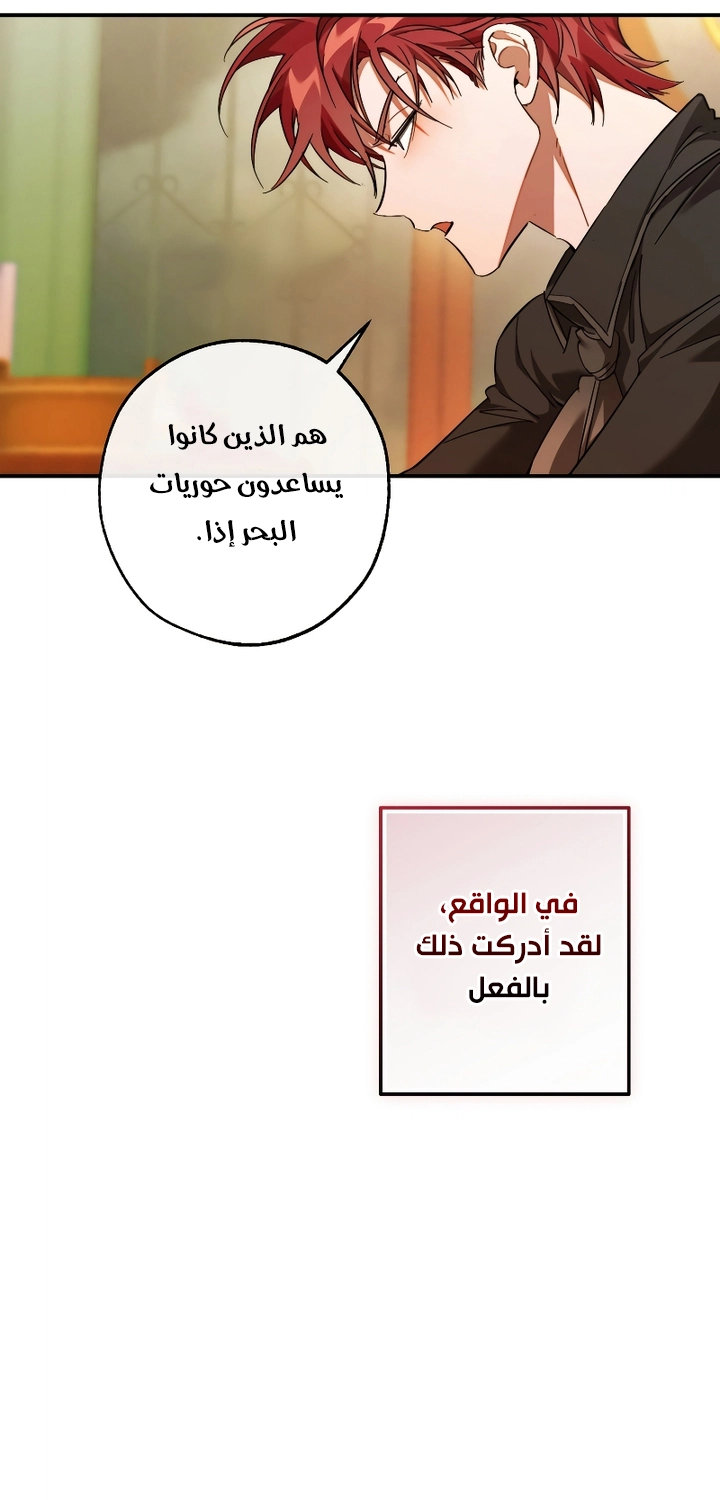الصفحة 33