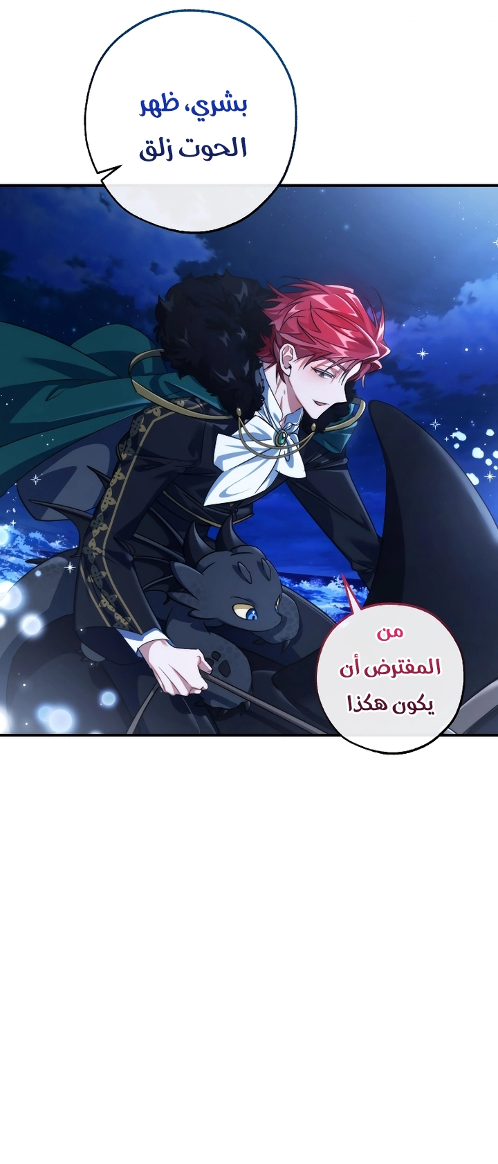 الصفحة 10
