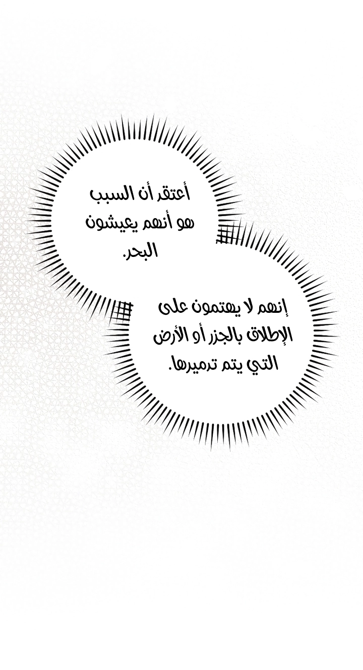 الصفحة 43