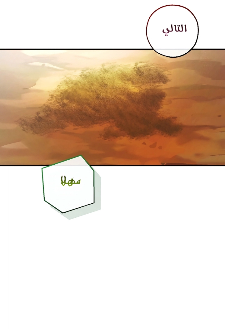 الصفحة 35