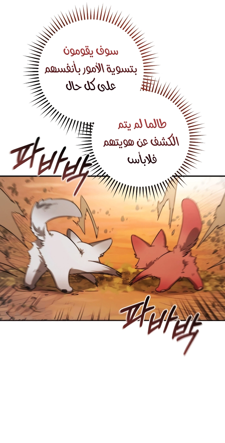 الصفحة 45