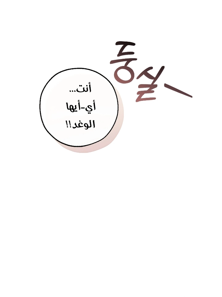 الصفحة 54