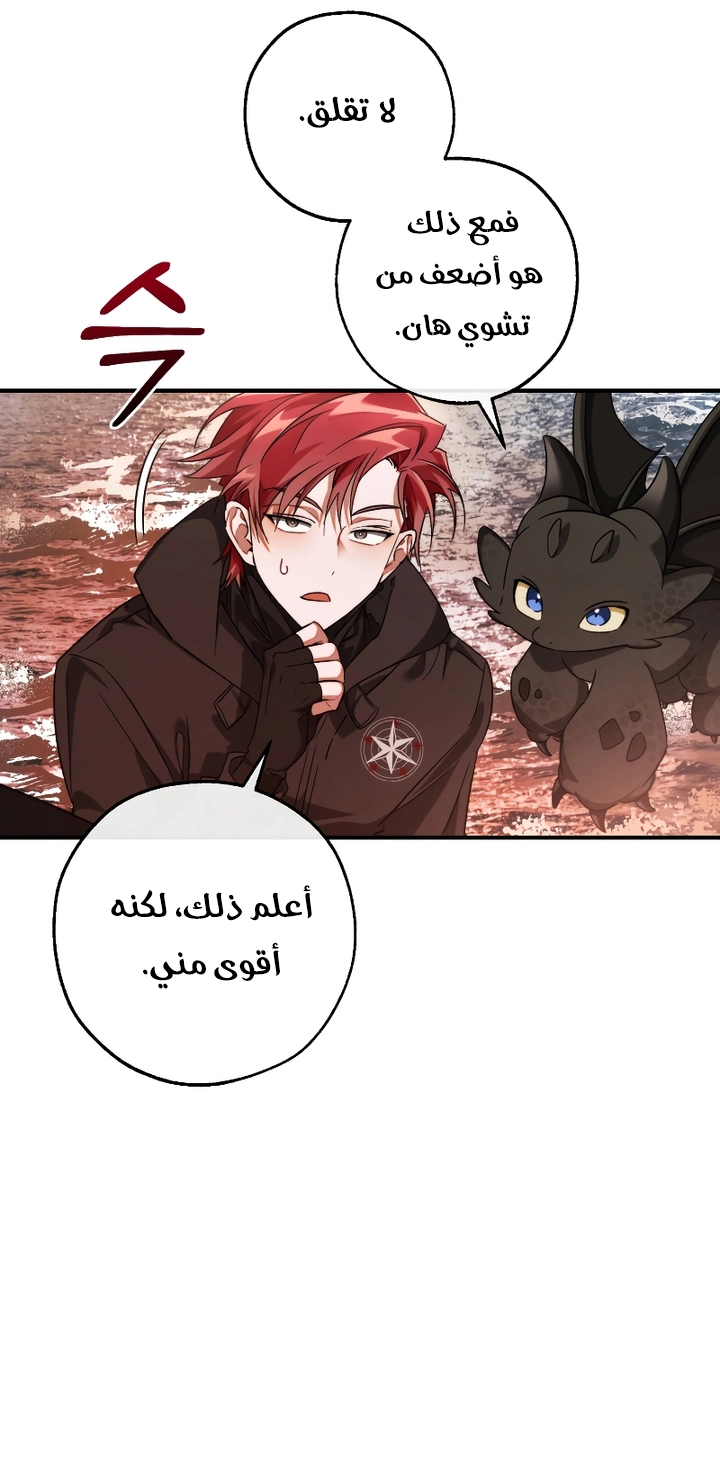 الصفحة 19