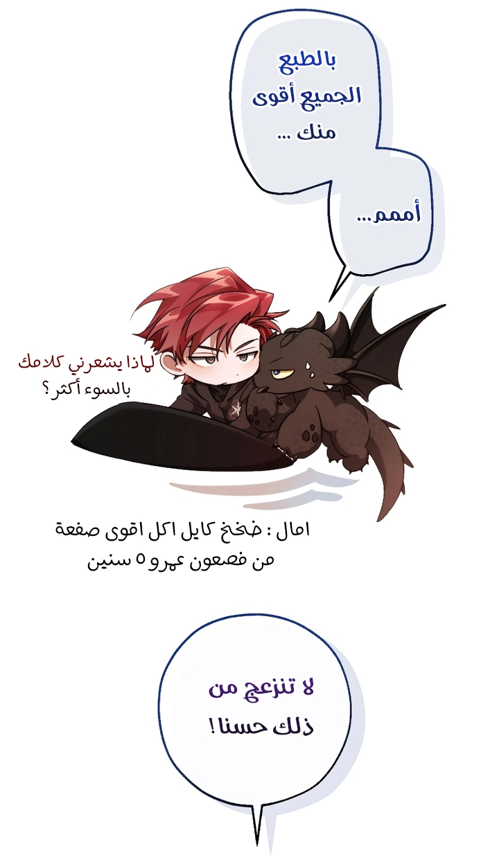 الصفحة 20