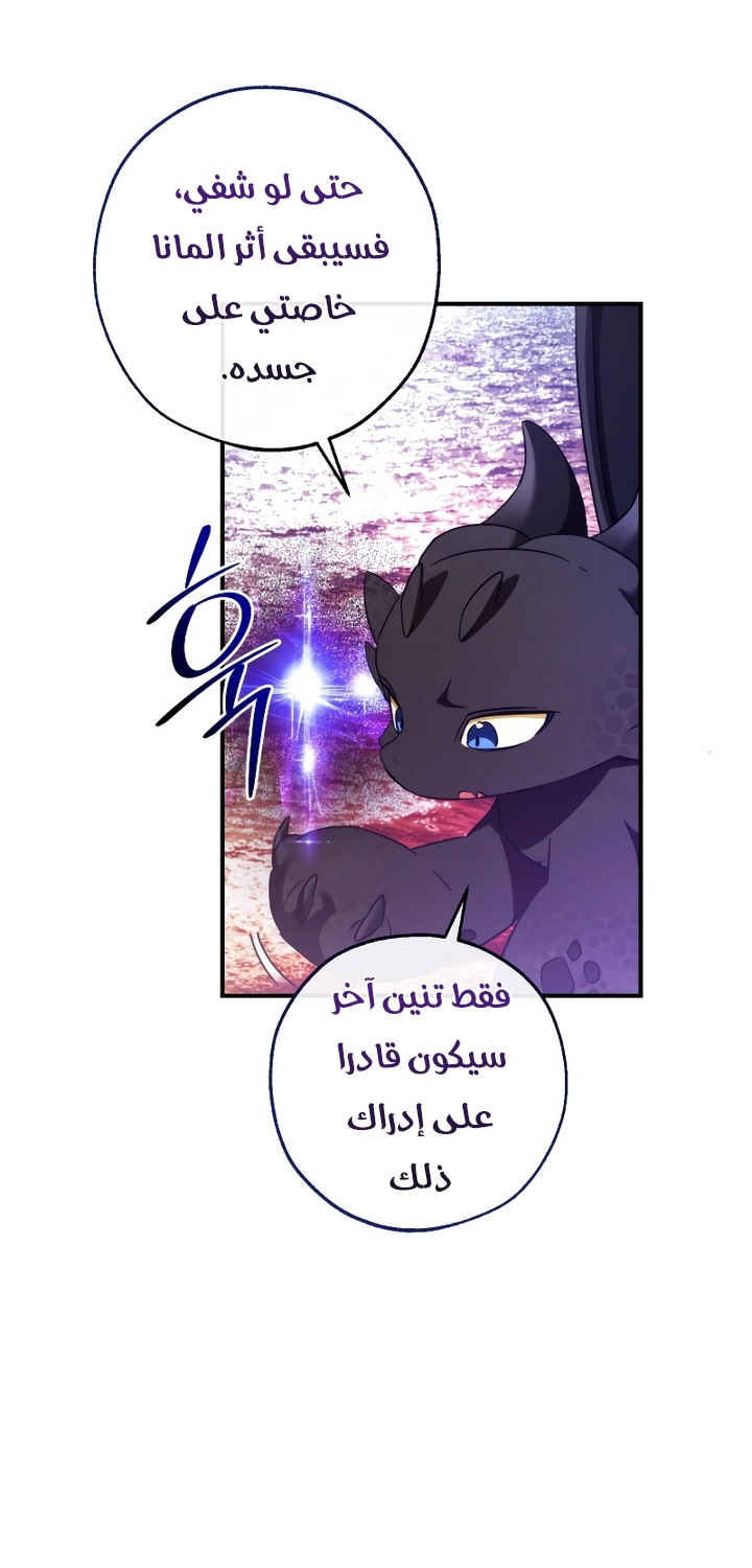 الصفحة 44